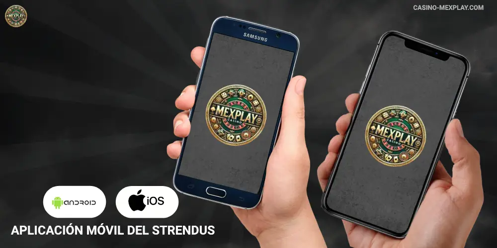 Aplicación móvil del Strendus